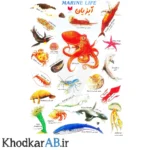 برچسب-آموزشی-حیوانات-طرح-آبزیان