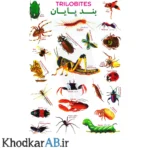 برچسب-آموزشی-حیوانات-طرح-بند-پایان