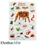 برچسب-آموزشی-حیوانات-طرح-بندپایان-جدید