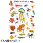 برچسب-آموزشی-حیوانات-طرح-بیمهرگان