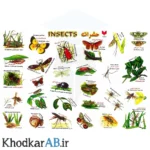 برچسب-آموزشی-حیوانات-طرح-حشرات