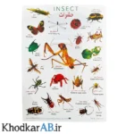برچسب-آموزشی-حیوانات-طرح-حشرات-جدید
