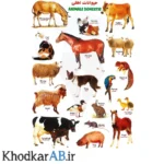 برچسب-آموزشی-حیوانات-طرح-حیوانات-اهلی