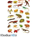برچسب-آموزشی-حیوانات-طرح-دوزیستان-و-خزندگان