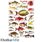 برچسب-آموزشی-حیوانات-طرح-ماهی