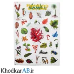 برچسب-آموزشی-حیوانات-طرح-گیاهان-و-برگها
