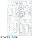 راهنمای-ساخت-پازل-چوبی-3-بعدی-کشتی-اژدهای آبی